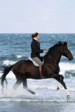 FRA Macon Extra Lammfell Reitkissen Mit Pauschen, S -Reitsportprodukte Geschäft 322957 BL G 2