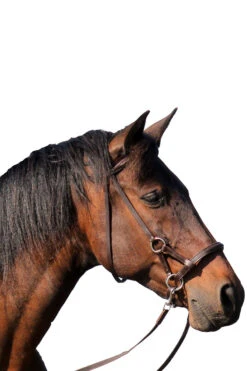 FRA Pardoes Sidepull (System 3) Leder Mit Anti Slip Zügeln 7 FRA Pardoes Sidepull (System 3) Leder Mit Anti Slip Zügeln -Reitsportprodukte Geschäft 322960 BR 2