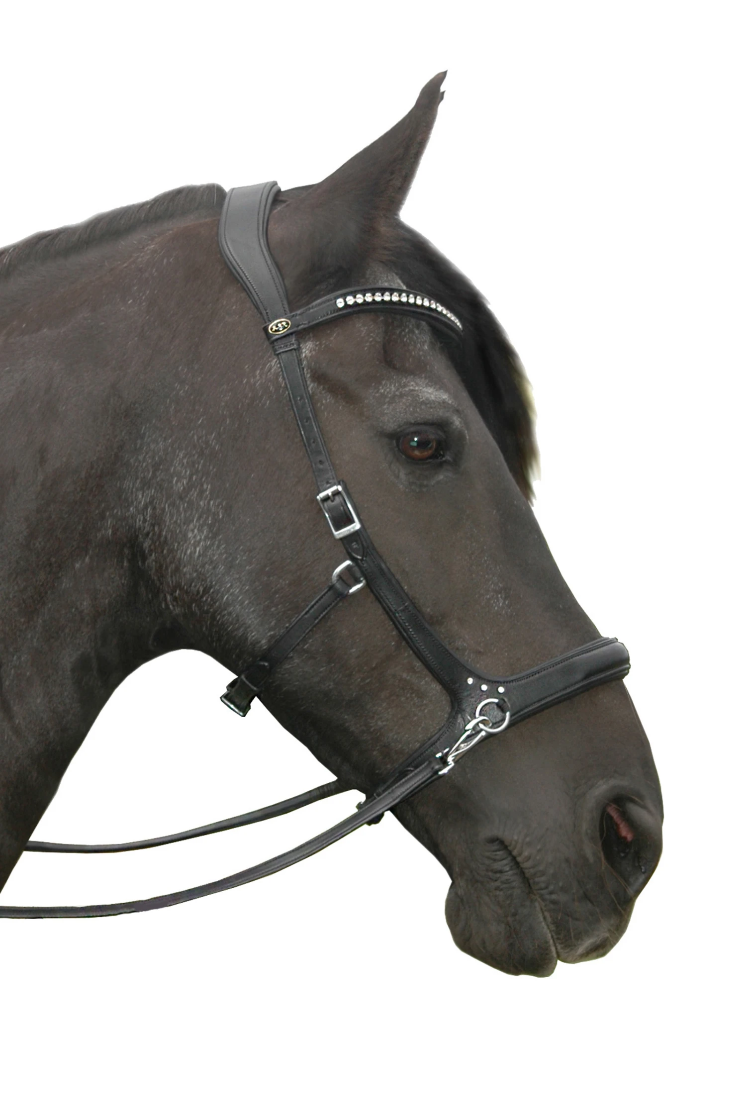 FRA Rebecca Sidepull (System 3) Mit Kristallen 4 FRA Rebecca Sidepull (System 3) Mit Kristallen – Bild 2