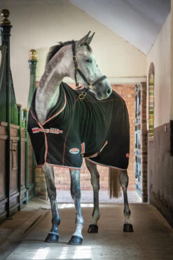 Weatherbeeta Therapy-Tec Decke Standard Neck -Reitsportprodukte Geschäft 328525 BL SI RE 6