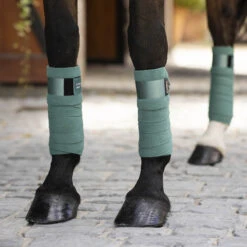 LeMieux Loire Polo-Bandagen -Reitsportprodukte Geschäft 329146 SBGR 2