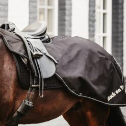 Back On Track Sammy Ausreitdecke, 50g -Reitsportprodukte Geschäft 331628 BL 4