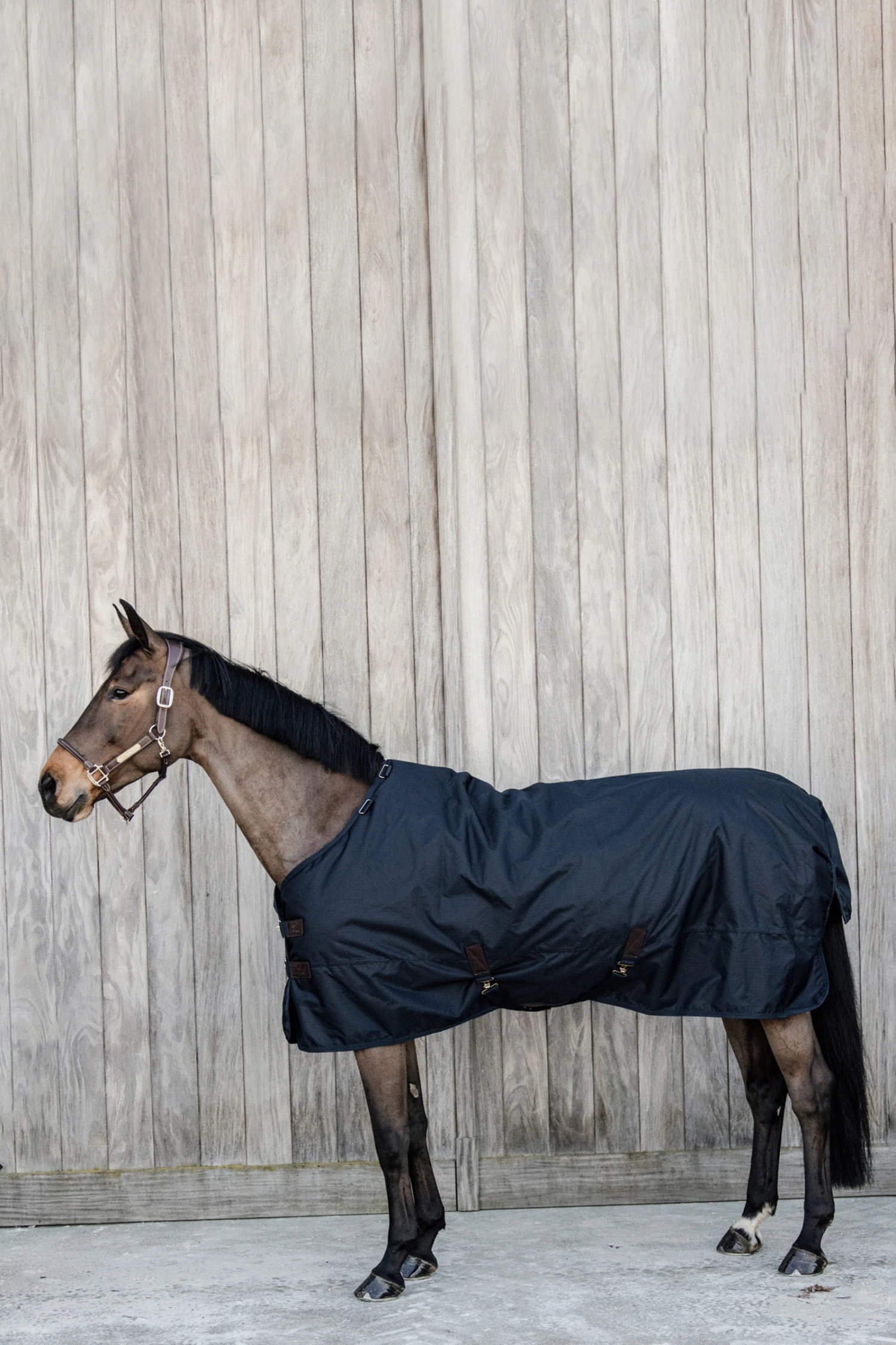 Kentucky Horsewear All Weather Waterproof Classic Regendecke, 50g 3 Kentucky Horsewear All Weather Waterproof Classic Regendecke, 50g