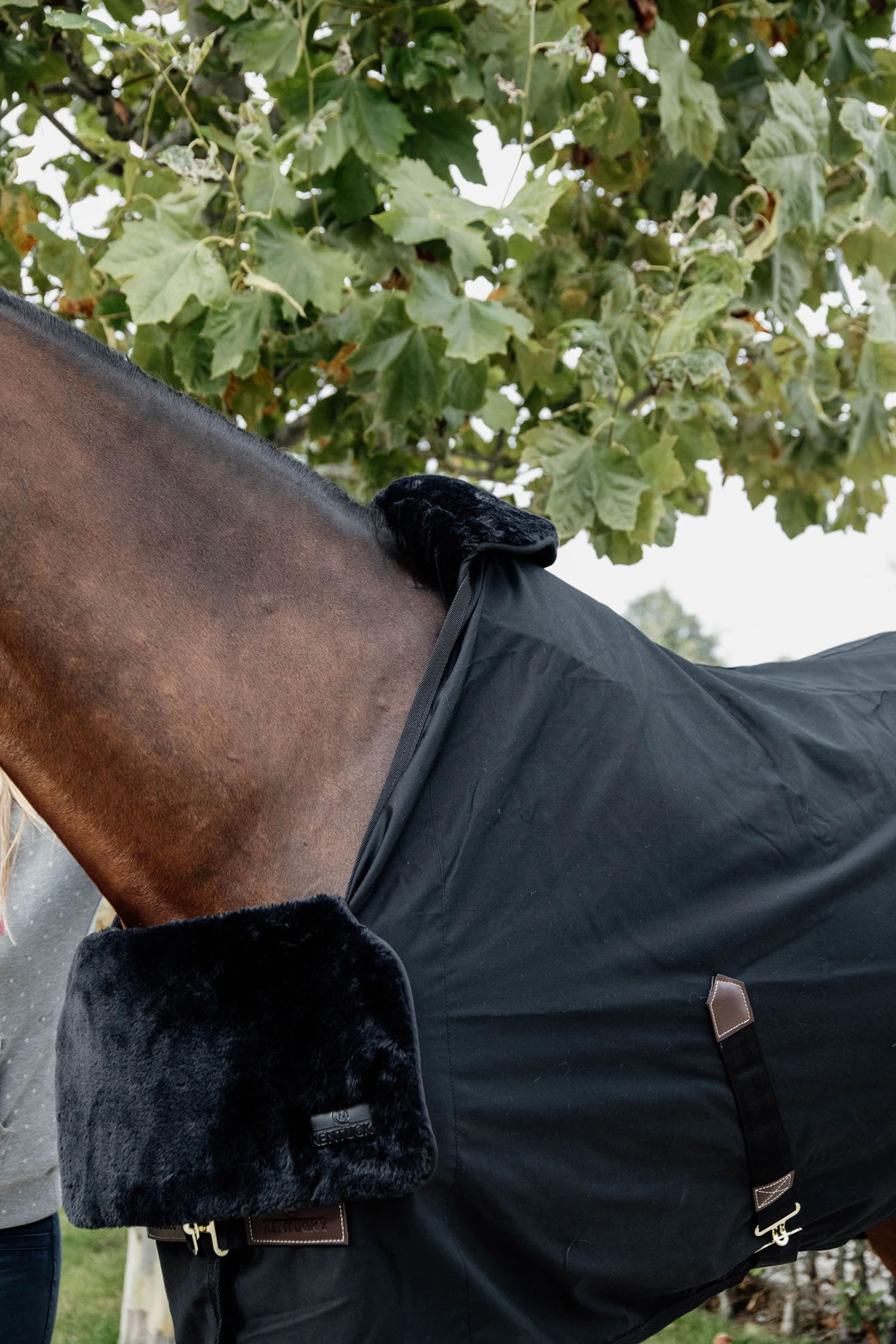 Kentucky Horsewear Horse Bib Lammfell Widerristschutz 3 Kentucky Horsewear Horse Bib Lammfell Widerristschutz