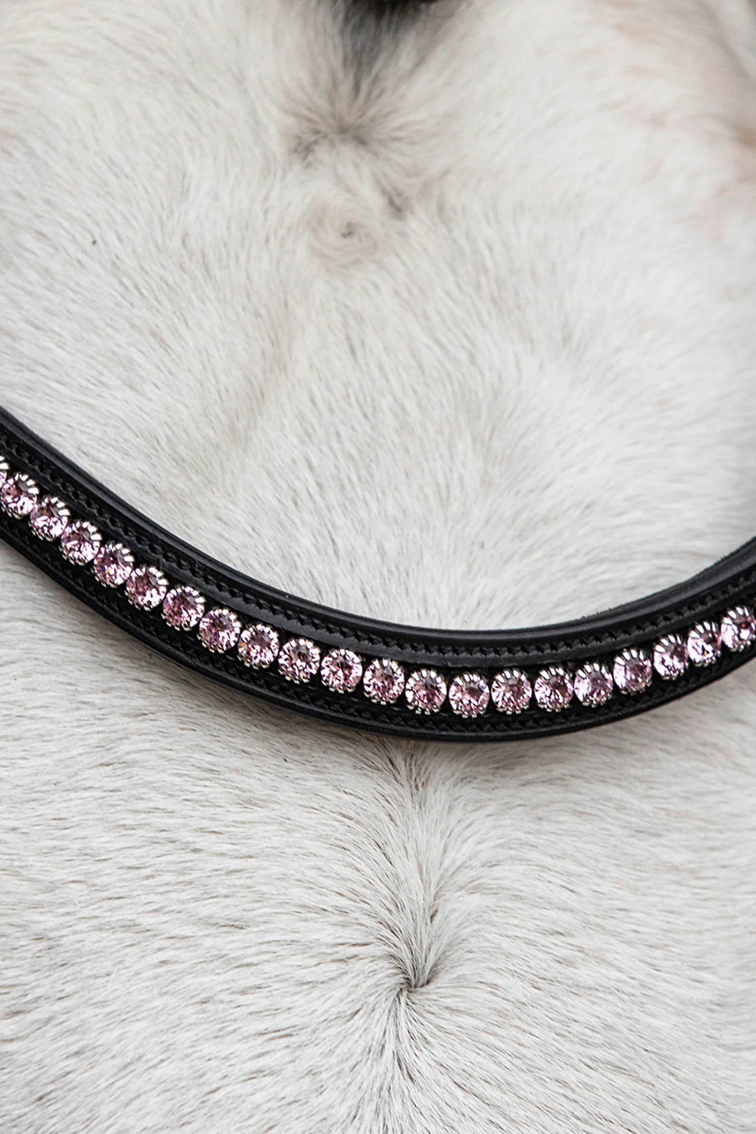 Schockemöhle Diamond Select Stirnriemen 8 Schockemöhle Diamond Select Stirnriemen – Bild 6