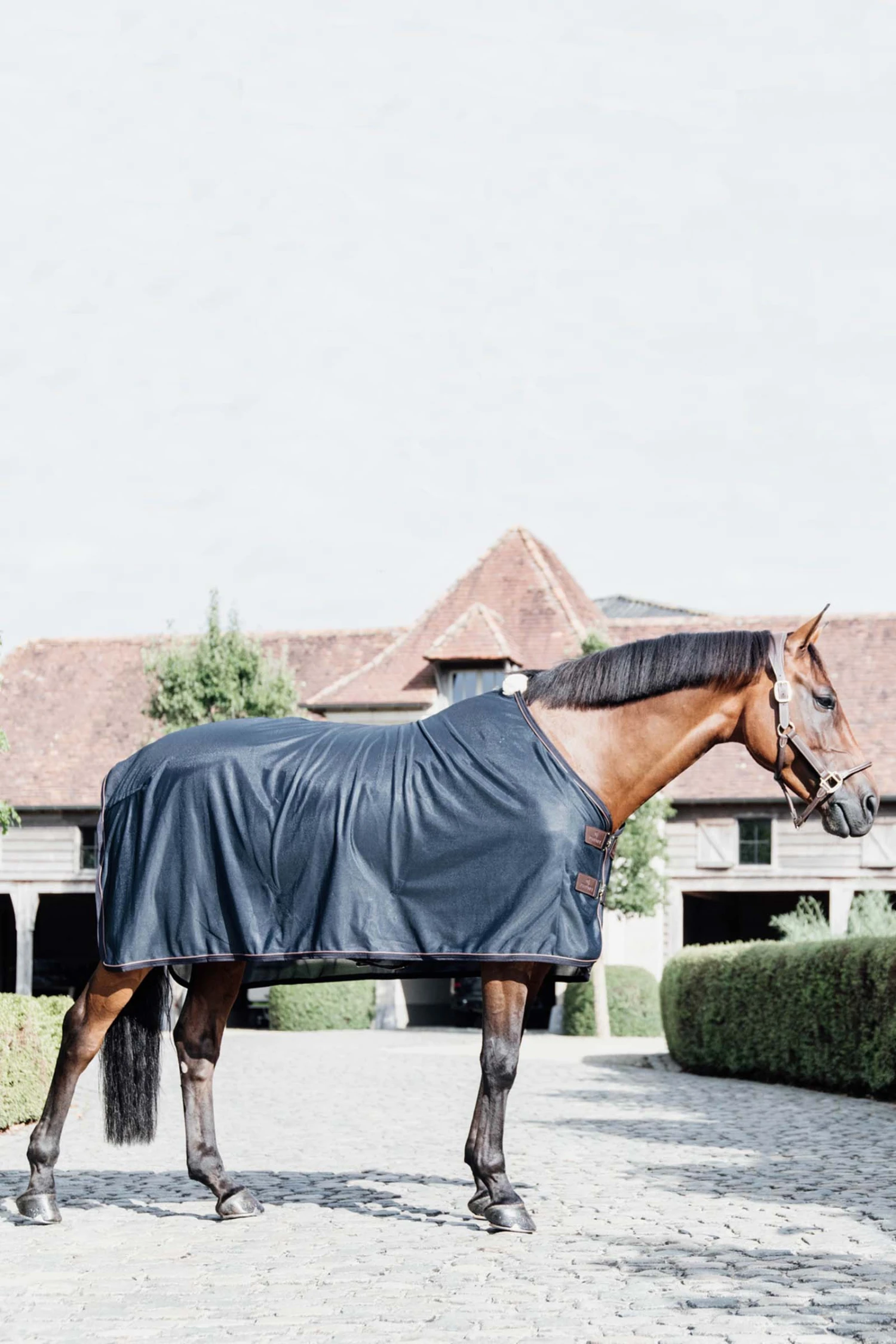 Kentucky Horsewear Mesh Fliegendecke 4 Kentucky Horsewear Mesh Fliegendecke – Bild 2