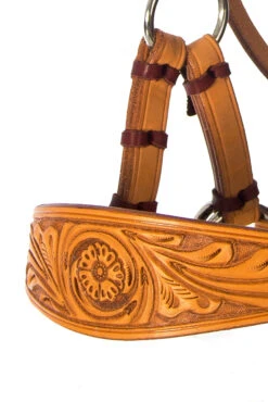 F.R.A. Diego Gebisslose Trense -Reitsportprodukte Geschäft 334265 NAT 9