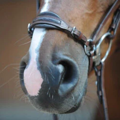 Kavalkade Levana Trense -Reitsportprodukte Geschäft 335722 BR 2