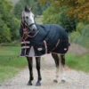 Weatherbeeta Comfitec Premier Therapy-Tec Therapiedecke Inkl Abnehmbarem Halsteil, 220g -Reitsportprodukte Geschäft 335963 BL SI RE 1