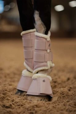 PS Of Sweden Gamaschen -Reitsportprodukte Geschäft 336950 LTPI 2