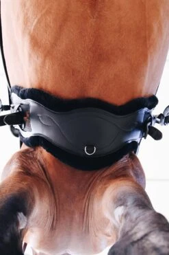 Kentucky Horsewear Anatomischer Lammfell Gurtschoner -Reitsportprodukte Geschäft 338010 BL 3