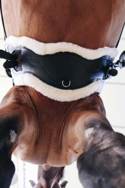 Kentucky Horsewear Anatomischer Lammfell Gurtschoner -Reitsportprodukte Geschäft 338010 NAT 4