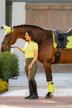 LeMieux Loire Satin Bandagen -Reitsportprodukte Geschäft 338080 SLGR 02