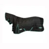 Weatherbeeta Green-Tec Stalldecke Mit Integriertem Halsteil, 150g -Reitsportprodukte Geschäft 338284 BL BDGR 3