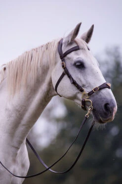 F.R.A. Imperial Hackamore Zaum 7 F.R.A. Imperial Hackamore Zaum -Reitsportprodukte Geschäft 340176 BR 2