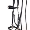 F.R.A. Imperial Hackamore Zaum, Shire -Reitsportprodukte Geschäft 340177 BL 1