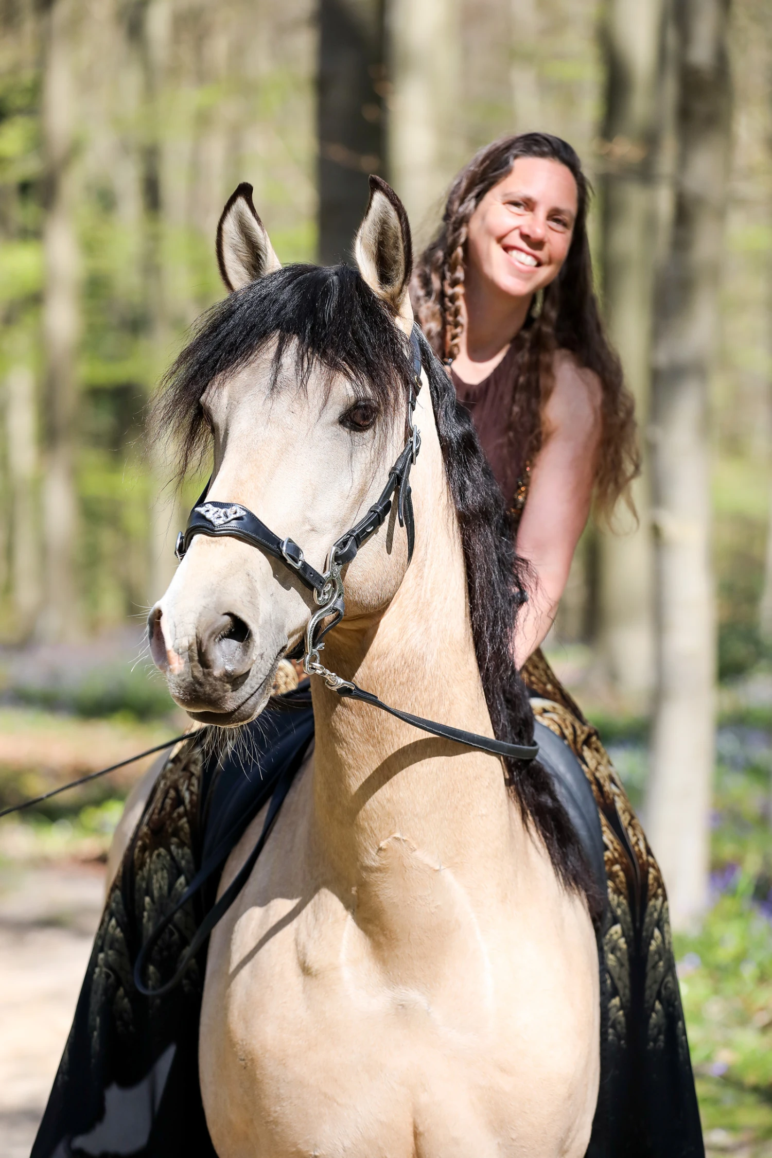 F.R.A. Imperial Hackamore Zaum, Shire 4 F.R.A. Imperial Hackamore Zaum, Shire – Bild 2