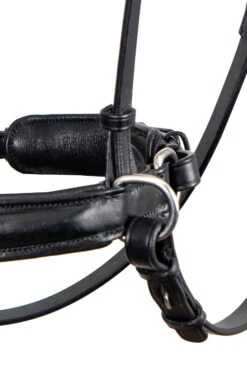 F.R.A. Alizée Mistral Gebissloser Zaum -Reitsportprodukte Geschäft 340183 BL BL 3