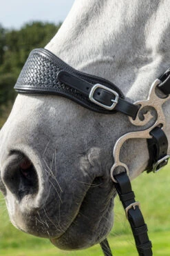 F.R.A. Barco Hackamore Anzüge, 150mm -Reitsportprodukte Geschäft 340188 SS 2