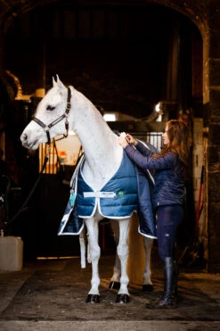 Horseware AmEco Liner, 100g -Reitsportprodukte Geschäft 340947 TE G 3