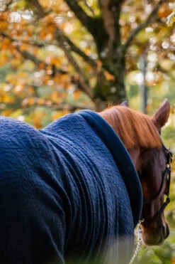 Horseware Embossed Cosy Neck Abschwitzdecke -Reitsportprodukte Geschäft 340951 DB BU 7