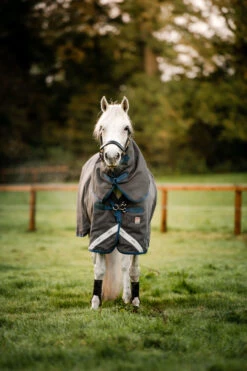 Horseware Rhino Hexstop Vari-Layer Weidedecke, 250g -Reitsportprodukte Geschäft 340958 G IDB 3