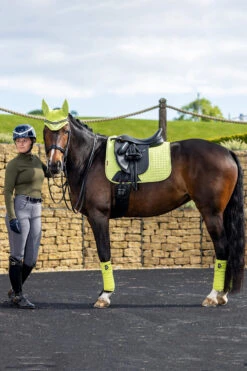 LeMieux Classic Fleece Bandagen -Reitsportprodukte Geschäft 342145 SLGR 02