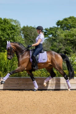 LeMieux Classic Fleece Bandagen -Reitsportprodukte Geschäft 342145 WLPU 02