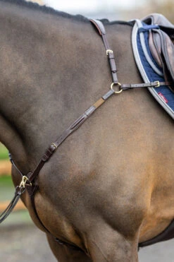 LeMieux Vorderzeug Mit Abnehmbarem Martingal -Reitsportprodukte Geschäft 342208 HVBR 4