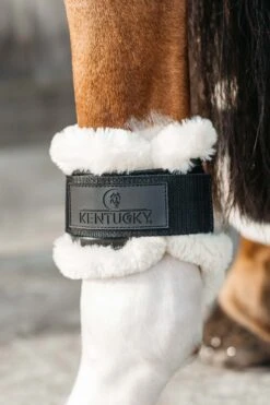 Kentucky Horsewear Vegane Lammfell Streichkappen Für Jungpferde -Reitsportprodukte Geschäft 342512 BL 3