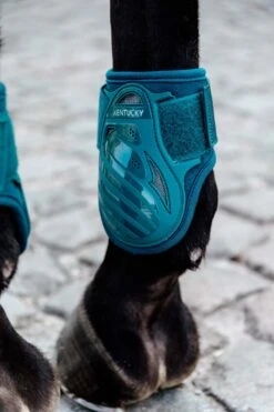 Kentucky Horsewear Jungpferde Streichkappe 21 Kentucky Horsewear Jungpferde Streichkappe -Reitsportprodukte Geschäft 342513 EGR 2