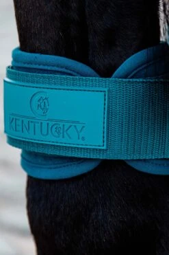 Kentucky Horsewear Jungpferde Streichkappe 22 Kentucky Horsewear Jungpferde Streichkappe -Reitsportprodukte Geschäft 342513 EGR 3
