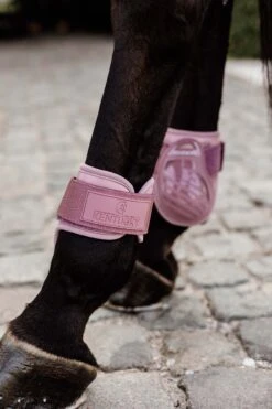 Kentucky Horsewear Jungpferde Streichkappe 25 Kentucky Horsewear Jungpferde Streichkappe -Reitsportprodukte Geschäft 342513 ORPI 3