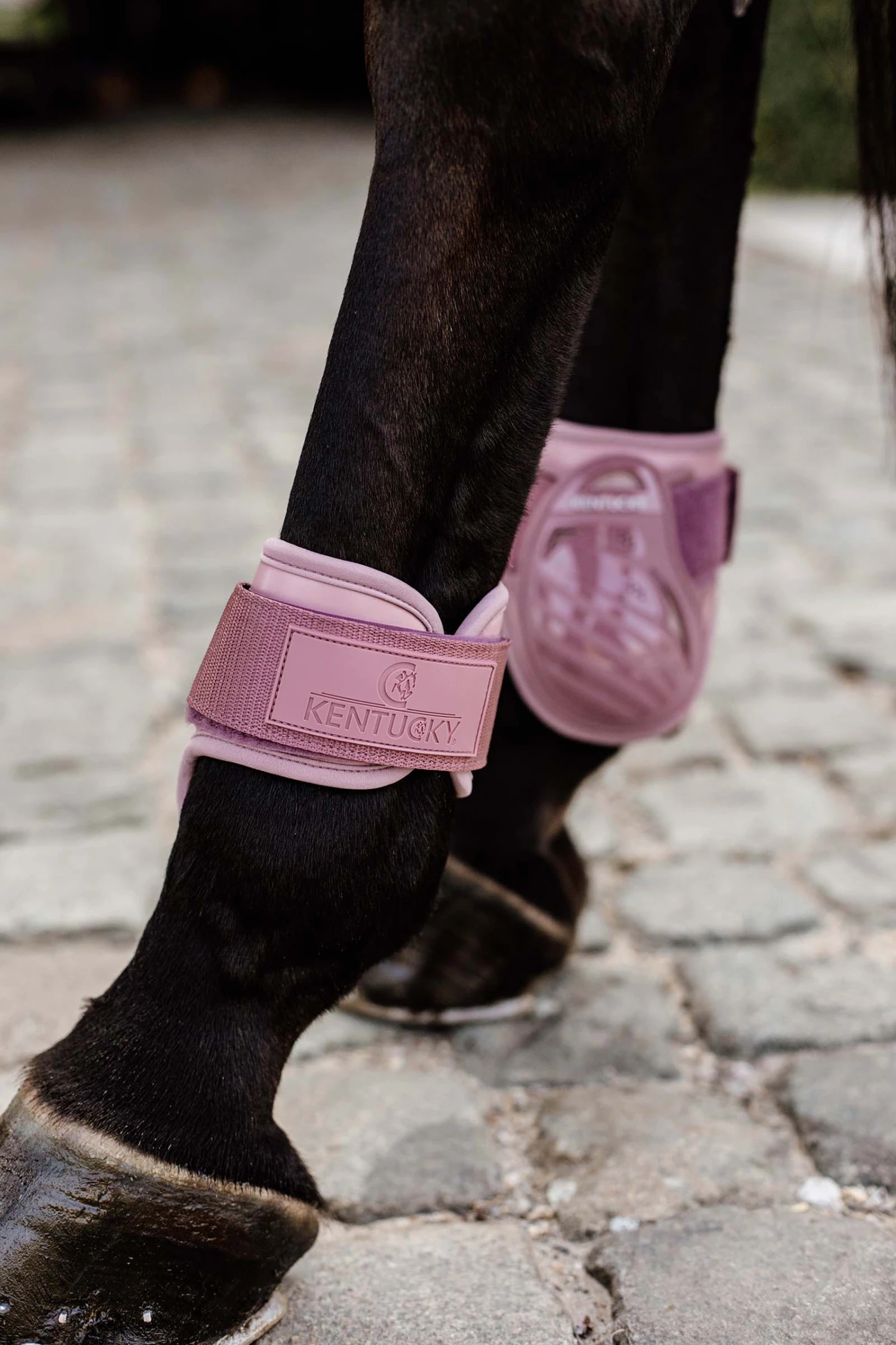 Kentucky Horsewear Jungpferde Streichkappe 14 Kentucky Horsewear Jungpferde Streichkappe – Bild 12