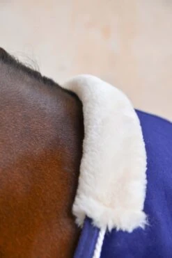 Harcour Cancale Abschwitzdecke -Reitsportprodukte Geschäft 342514 DB 3