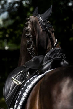 Eskadron Essence 22/23 Big Square Glossy Dressurschabracke 14 Eskadron Essence 22/23 Big Square Glossy Dressurschabracke -Reitsportprodukte Geschäft 342542 BL WH LOGR 3