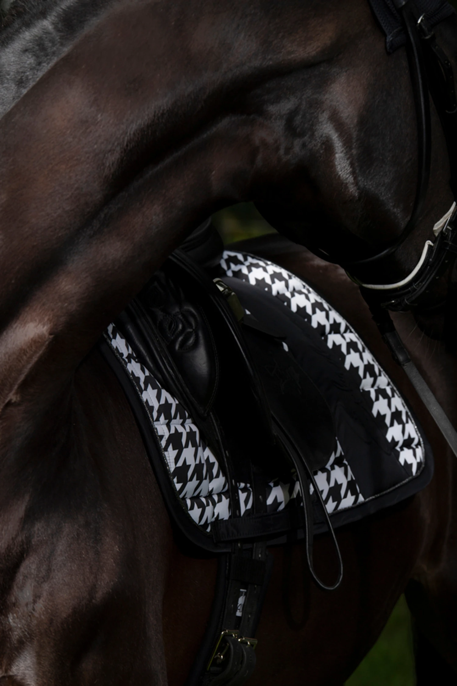 Eskadron Essence 22/23 Big Square Glossy Dressurschabracke 7 Eskadron Essence 22/23 Big Square Glossy Dressurschabracke – Bild 5