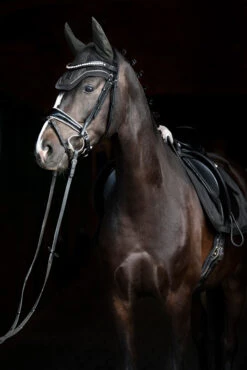 Eskadron Essence 22/23 Glitter Mesh Sport Fliegenhaube -Reitsportprodukte Geschäft 342557 DOGR 2