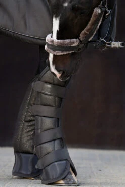 Eskadron Essence 22/23 Glitter Mesh Transportgamaschen -Reitsportprodukte Geschäft 342558 OGR 2