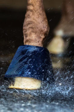 Waldhausen Water Boot, Paar -Reitsportprodukte Geschäft 342831 B 4