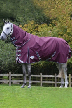 Weatherbeeta Comfitec Plus Dynamic II Detach-a-Neck Weidedecke Mit Abnehmbarem Halsteil, 360g -Reitsportprodukte Geschäft 343119 DRE G 3