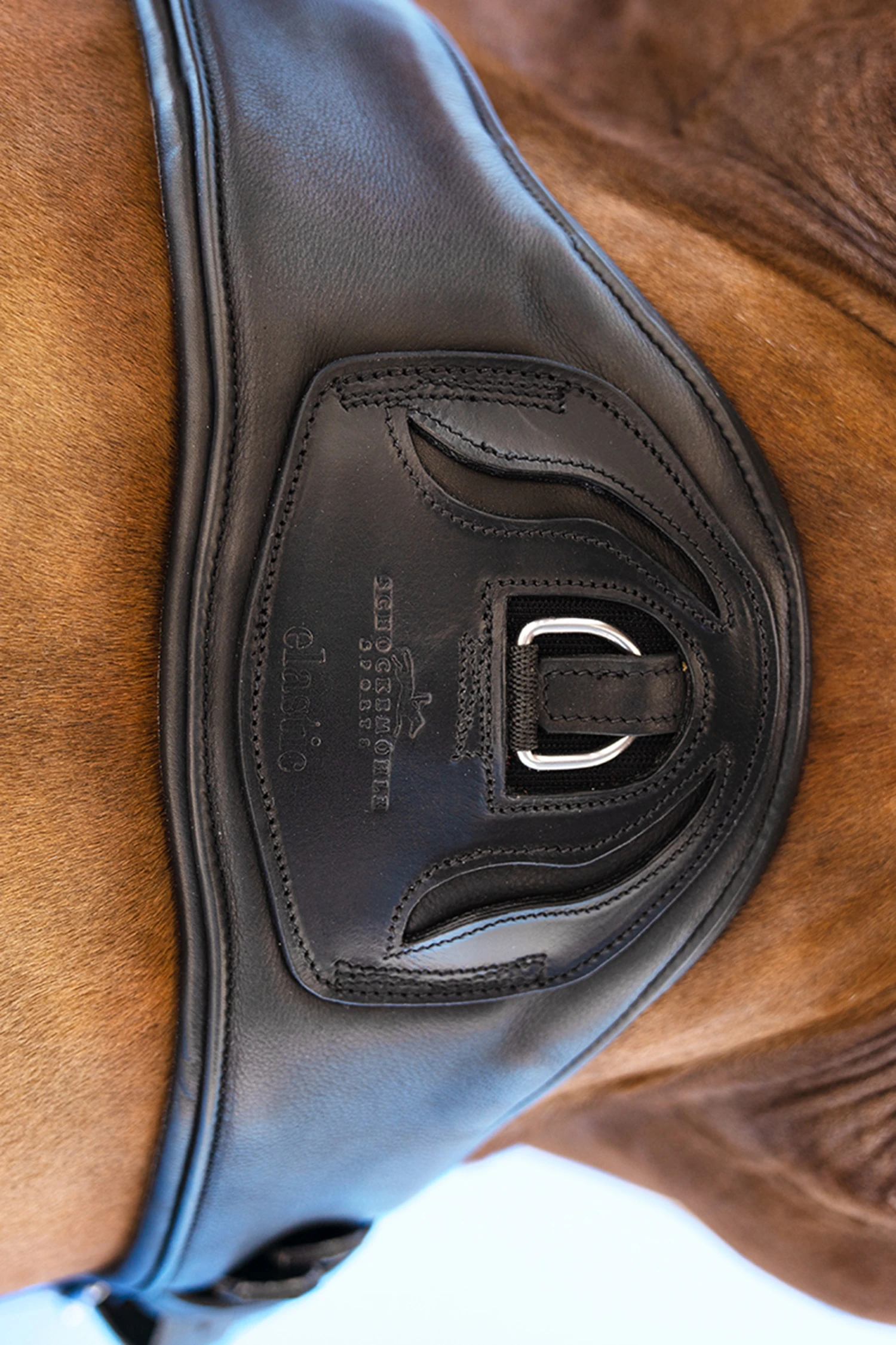 Schockemöhle Pittsburgh Stretch Kurzgurt 5 Schockemöhle Pittsburgh Stretch Kurzgurt – Bild 3