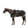 Waldhausen Reflex Ausreitdecke -Reitsportprodukte Geschäft 344024 BL SI 1