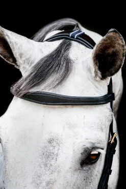 Horseware Rambo Micklem 2 Multi Trense -Reitsportprodukte Geschäft 345014 BL 03