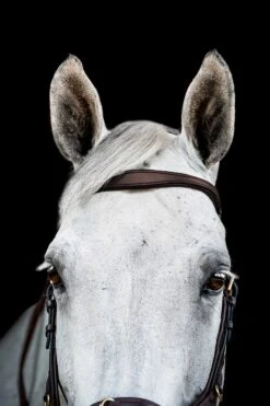 Horseware Rambo Micklem 2 Multi Trense -Reitsportprodukte Geschäft 345014 DBR 02