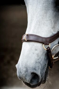 Horseware Rambo Micklem 2 Multi Trense -Reitsportprodukte Geschäft 345014 DBR 04