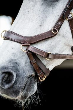 Horseware Rambo Micklem 2 Multi Trense -Reitsportprodukte Geschäft 345014 DBR 05