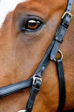 Horseware Rambo Micklem 2 Diamante Competition Trense Mit Zügeln -Reitsportprodukte Geschäft 345015 BL 02