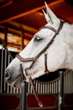 Horseware Rambo Micklem 2 Diamante Competition Trense Mit Zügeln -Reitsportprodukte Geschäft 345015 DBR 02