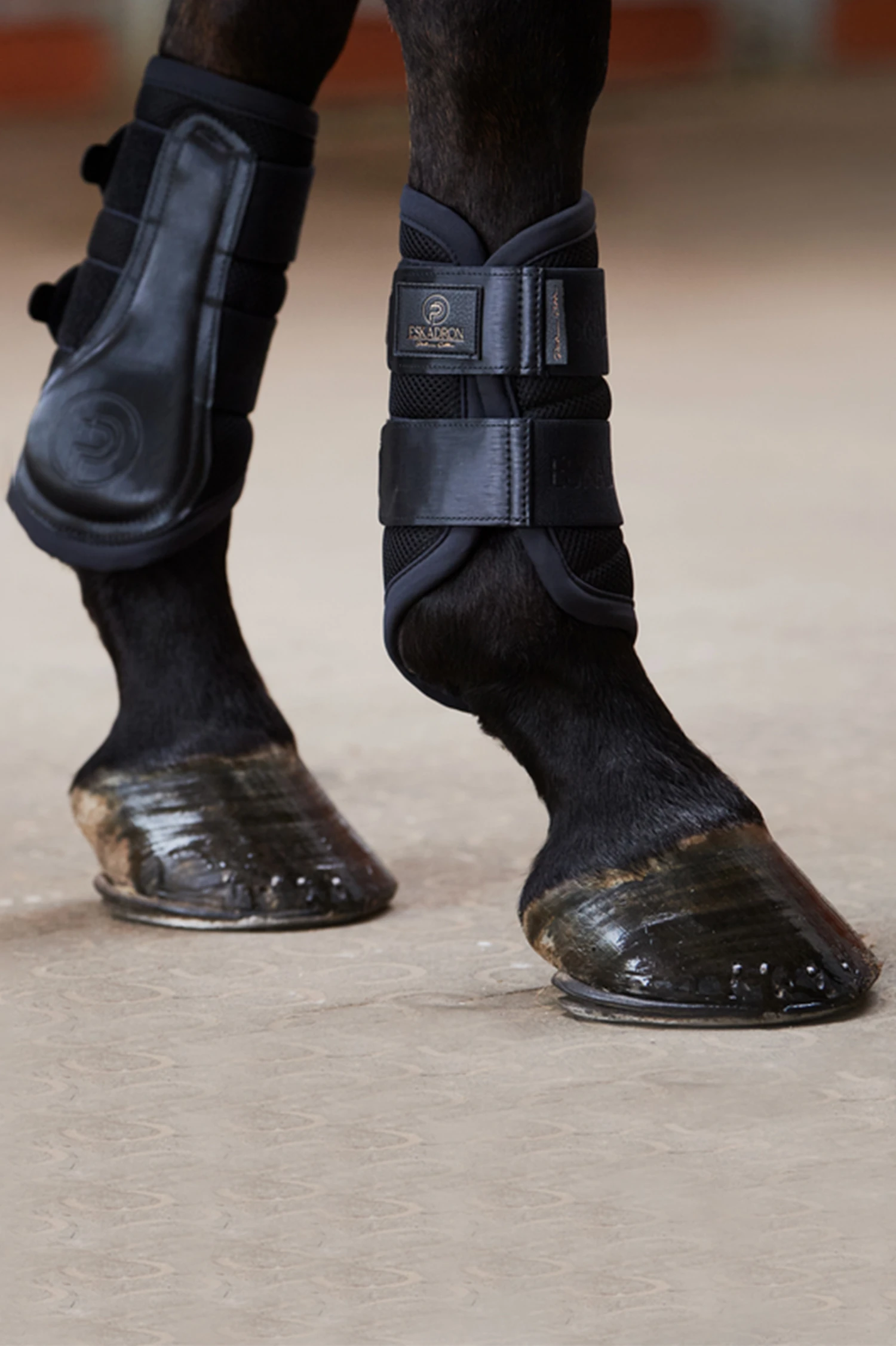 Eskadron Platinum 23 Mesh Gamaschen 4 Eskadron Platinum 23 Mesh Gamaschen – Bild 2